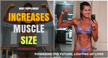 Supplements to Maximize Muscle Growth