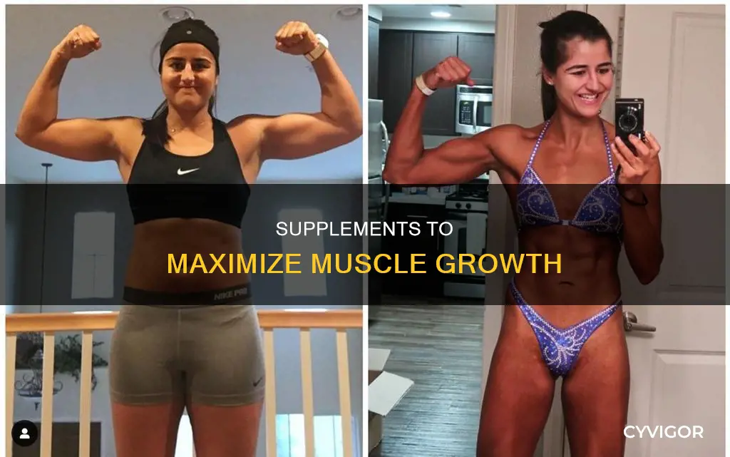 what supplement increases muscle size