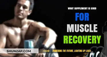 Top Supplements for Faster Muscle Recovery After Intense Workouts