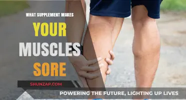 Muscle Soreness Supplements: What's Causing Your Post-Workout Pain?
