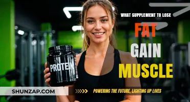Effective Supplements for Fat Loss and Muscle Gain: Your Ultimate Guide