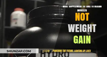 Regain Muscle Without Weight Gain: Top Supplements for Lean Recovery
