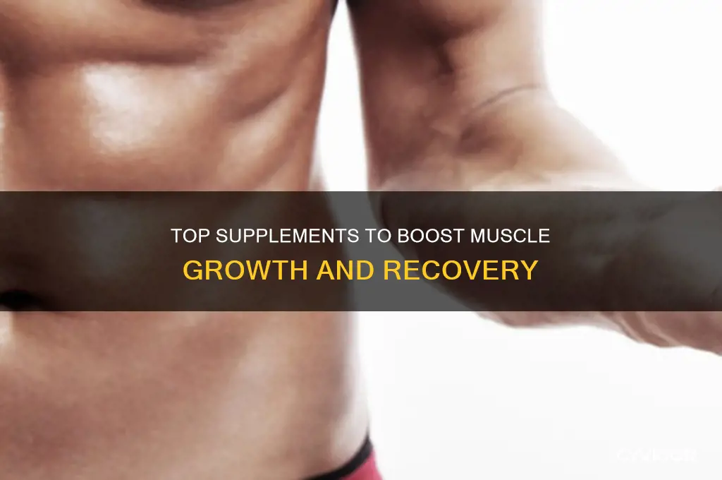 what supplements are good for muscle growth