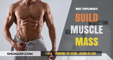 Unlocking Muscle Growth: The Top Supplements for Building Mass