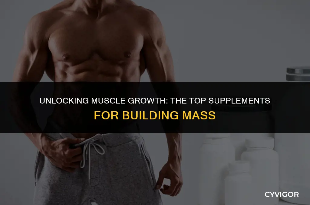 what supplements build muscle mass