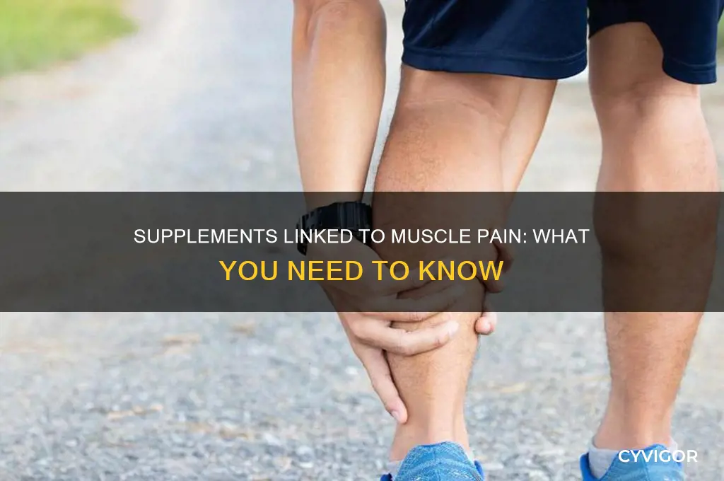 what supplements can cause muscle pain