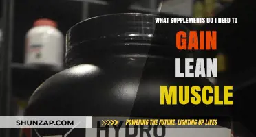 Essential Supplements for Building Lean Muscle: Your Ultimate Guide