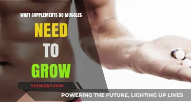 Essential Supplements for Muscle Growth: Fuel Your Body's Potential