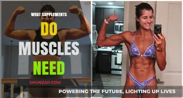Muscle-Building Supplements: What Your Body Needs