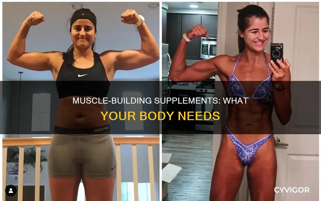 what supplements do muscles need