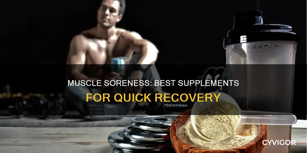 what supplements for muscle soreness