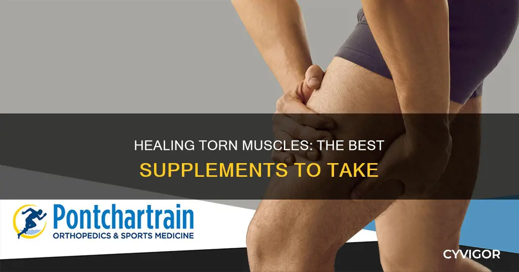 what supplements heal torn muscles