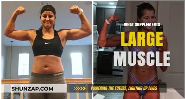 Muscle Growth: Supplements for Maximum Results
