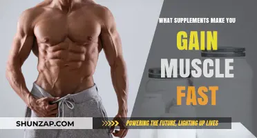 Top Muscle-Building Supplements for Rapid Strength and Size Gains