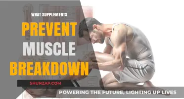 Supplements to Prevent Muscle Breakdown: What You Need