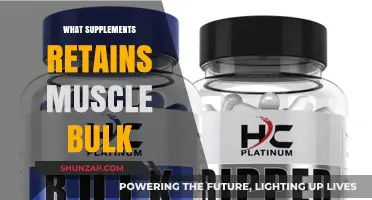 Muscle Maintenance: Supplements for Retaining Muscle Bulk