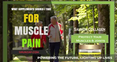 Effective Supplements to Relieve Muscle Pain and Enhance Recovery