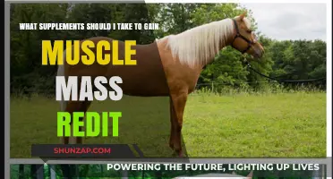 Effective Muscle-Building Supplements: Reddit's Top Recommendations for Mass Gain
