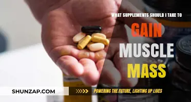 Best Muscle-Building Supplements: Essential Picks for Mass Gain