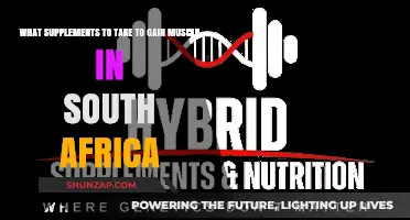 Top Muscle-Building Supplements for South African Fitness Enthusiasts