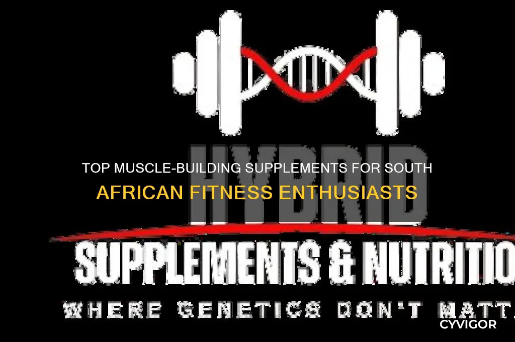 what supplements to take to gain muscle in south africa