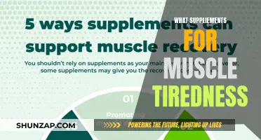 Muscle Recovery: Supplements to Fight Fatigue and Soreness