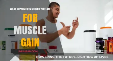 Best Supplements for Muscle Gain: Optimize Your Workout Results