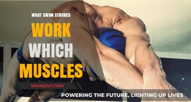 Swim Strokes and Muscle Groups: A Comprehensive Guide to Targeted Training