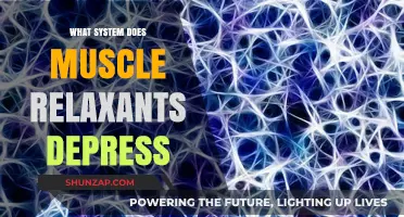 Muscle Relaxants and Their Impact on the Nervous System Explained