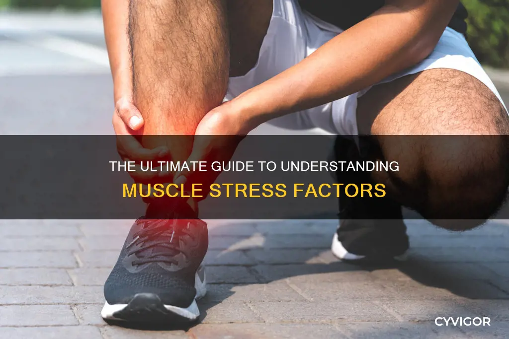 what systematicly increases muscle stress