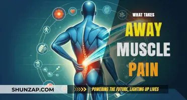 Effective Remedies to Relieve Muscle Pain and Promote Recovery Fast