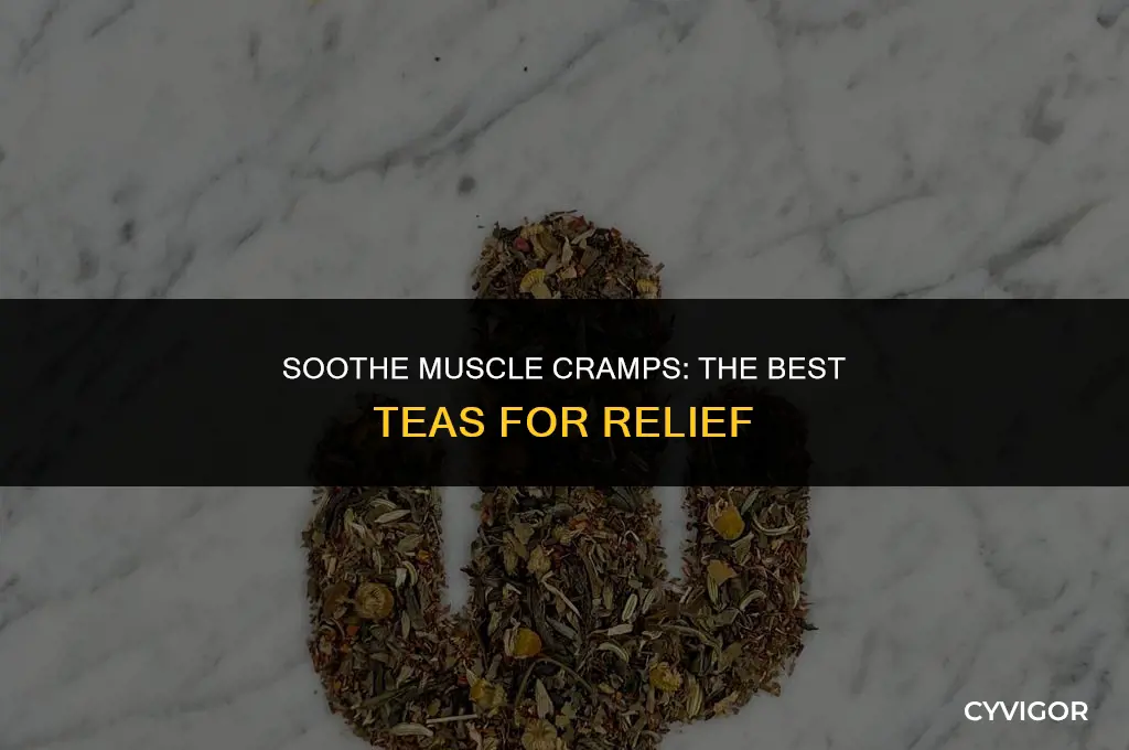 what tea for muscle cramps