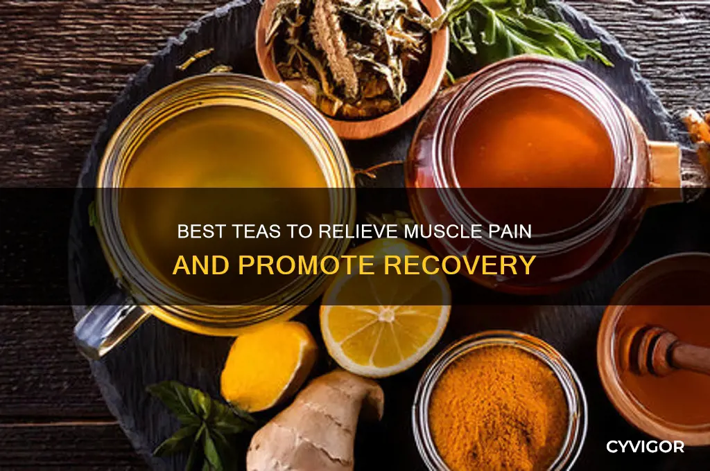 what tea is good for muscle pain