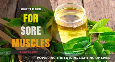 Soothe Sore Muscles Naturally: Best Teas for Recovery and Relief