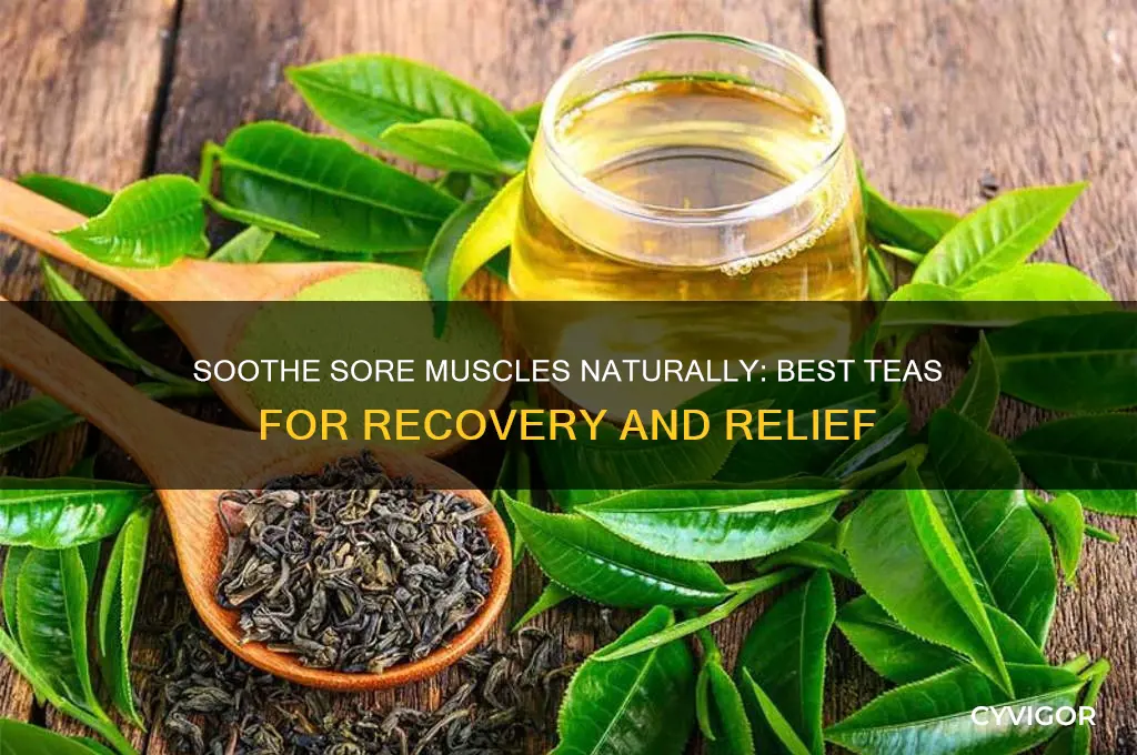 Soothe Sore Muscles Naturally: Best Teas For Recovery And Relief | CyVigor