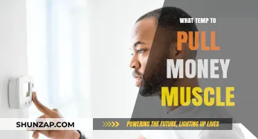 Optimal Money Muscle Cooking Temperature: When to Pull for Perfect Results