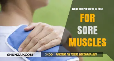 Optimal Temperature Therapy: Relieving Sore Muscles with Heat or Cold
