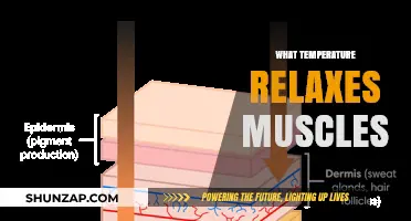 Optimal Heat Therapy: Discover the Muscle-Relaxing Temperature for Relief