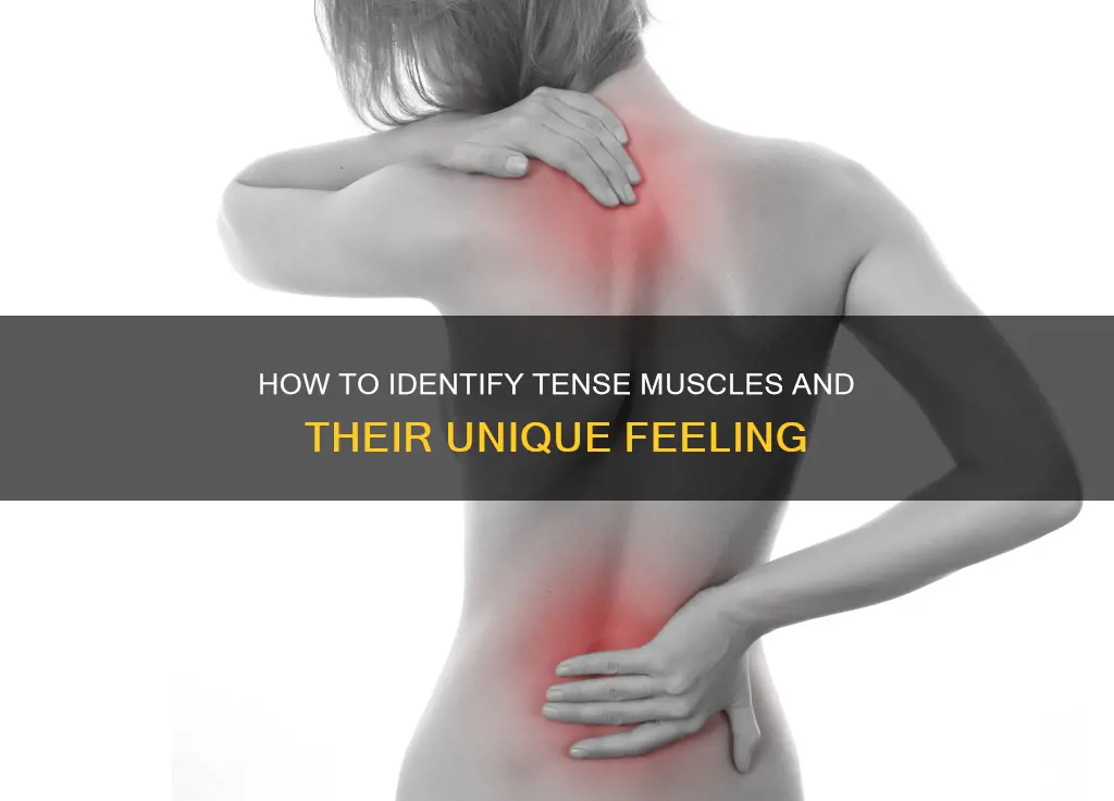 what tense muscles feel like