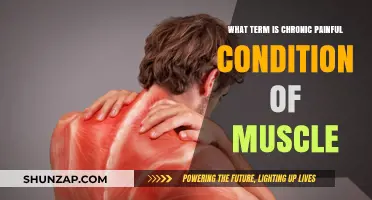 Understanding Myofascial Pain Syndrome: Chronic Muscle Pain Explained