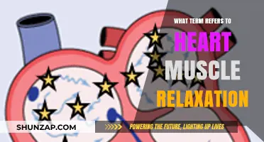 Understanding Diastole: The Essential Process of Heart Muscle Relaxation
