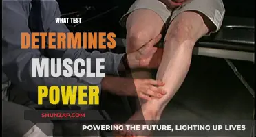 Muscle Power Testing: What's Your Strength?