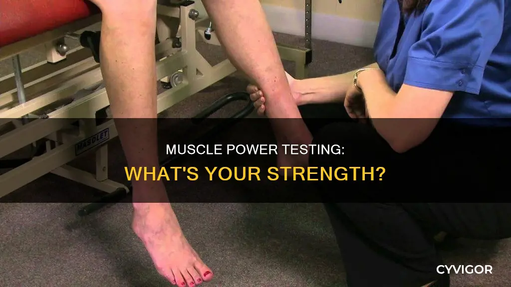 what test determines muscle power
