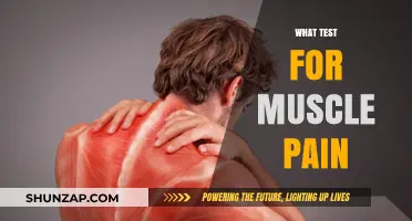 Effective Tests to Diagnose and Relieve Persistent Muscle Pain