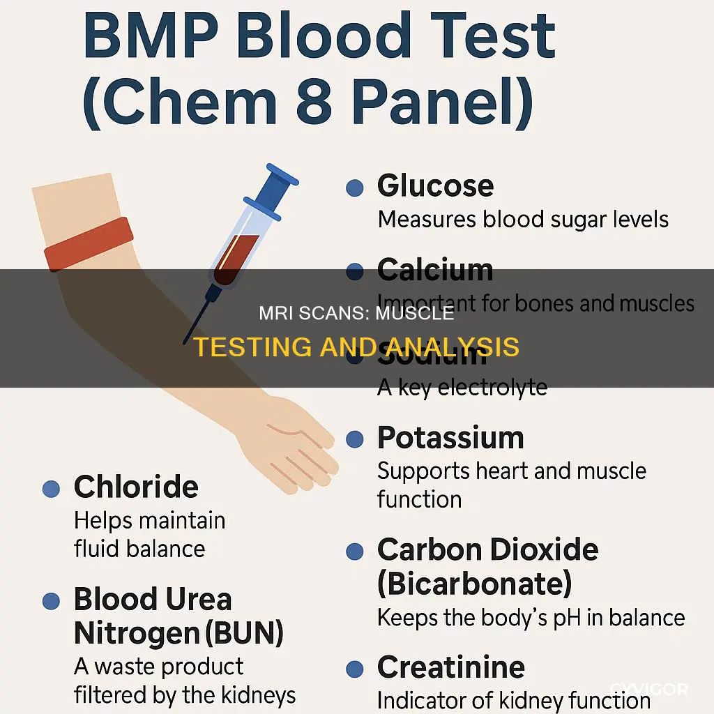 what test looks at muscles