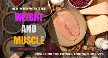 Top Protein Sources for Effective Weight Gain and Muscle Building
