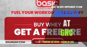 Top GNC Muscle-Building Supplements for Effective Mass Gain