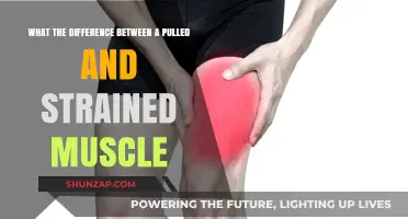 Pulled vs. Strained Muscle: Understanding the Key Differences