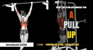Master Pull-Ups: Key Stabilizer Muscles for Perfect Form and Strength