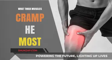 Unraveling the Mystery: Which Thigh Muscles Cramp the Most?